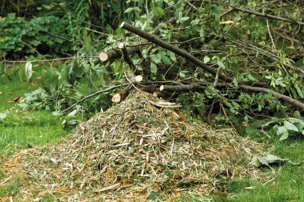 Hacken am laufenden Band: Posch Profi -Häcksler 300K1, Bild 3 Garten-Häcksler Posch Profi -Häcksler 300K1 im Test, Bild 3