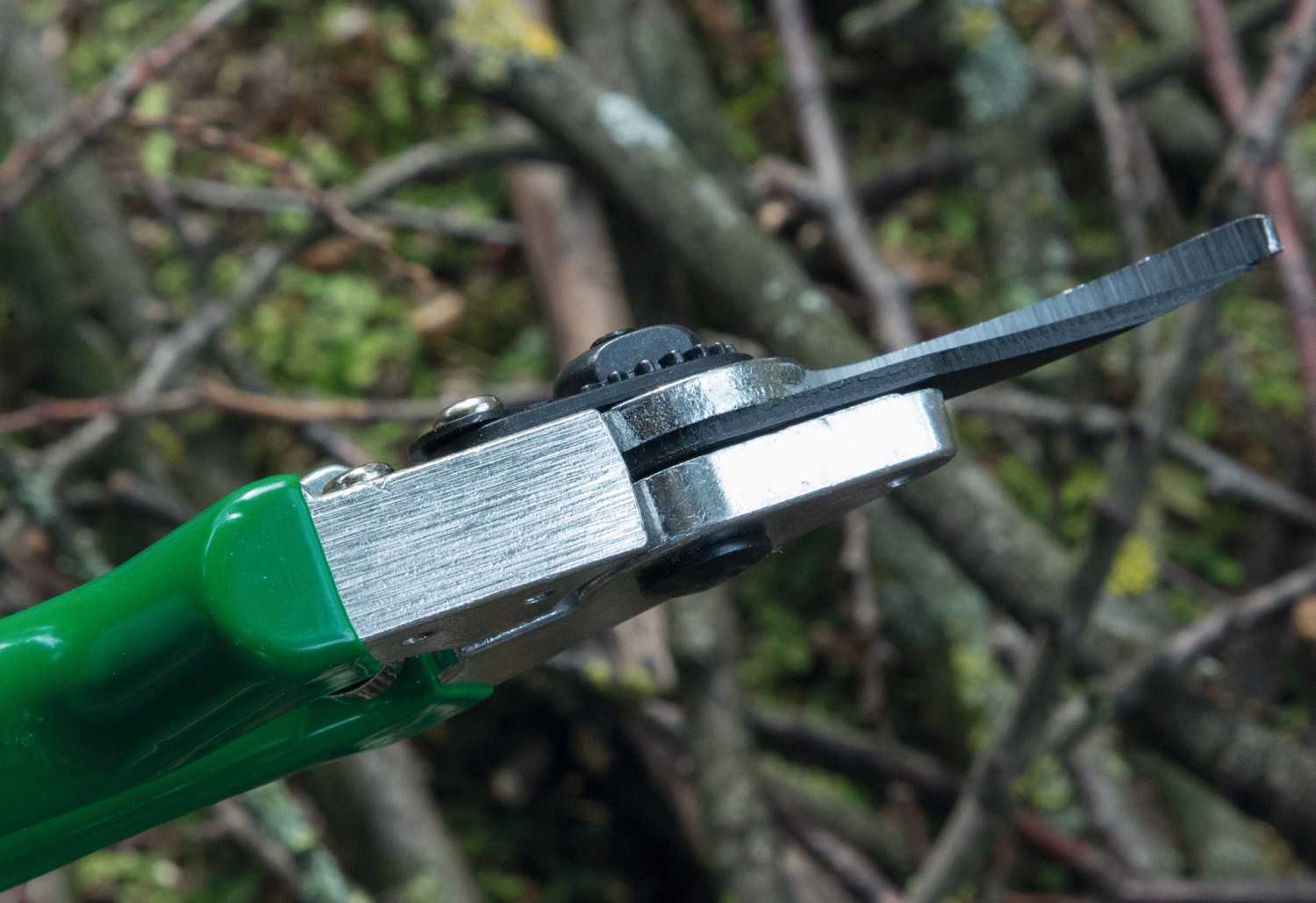 Serientest: Grüntek Bypass Schere Falke, Grüntek Amboss Schere Bussard, Bild 2 Astscheren Grüntek Bypass Schere Falke, Grüntek Amboss Schere Bussard im Test , Bild 2