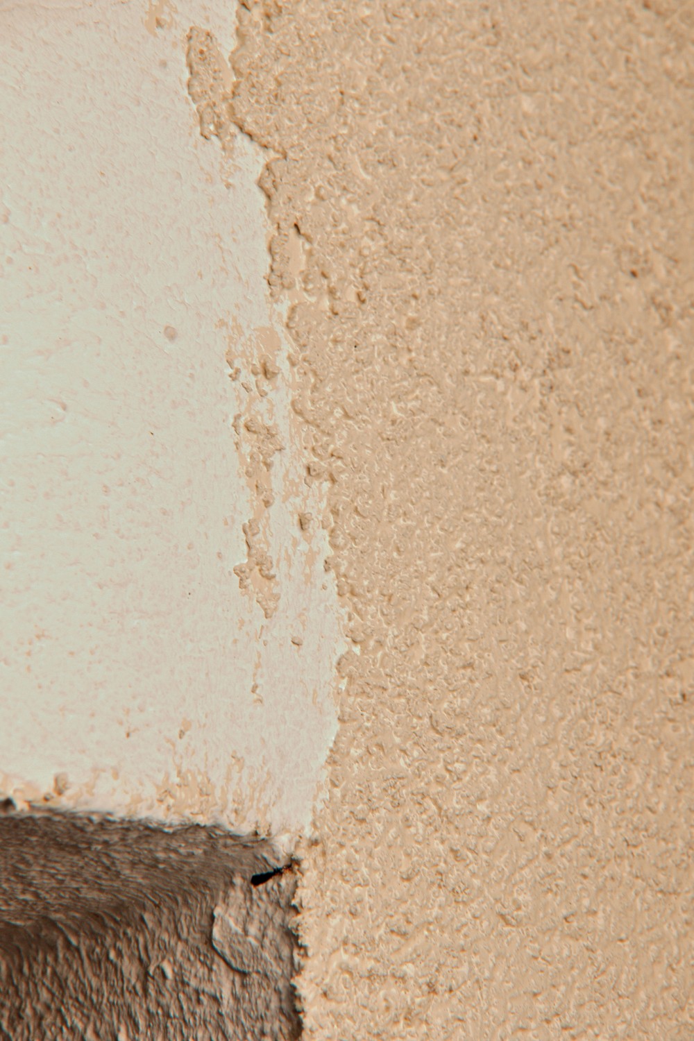 Effektiver Schutz: Korkfarbe Protekork, Bild 2 Sonstige Baustoffe Korkfarbe Protekork im Test, Bild 2