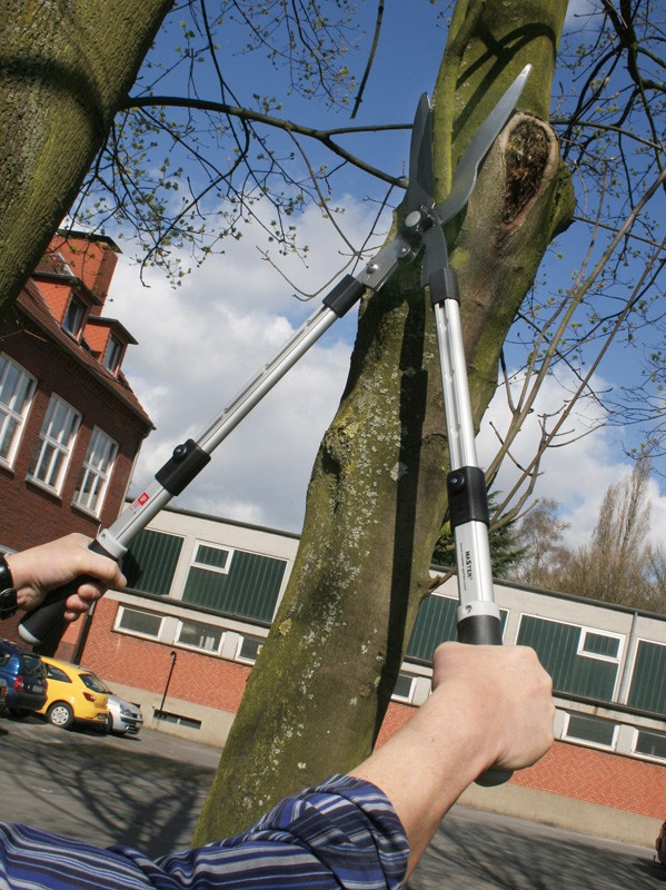 Heckenscheren Master Garten Multifunktions-Heckenschere im Test, Bild 1