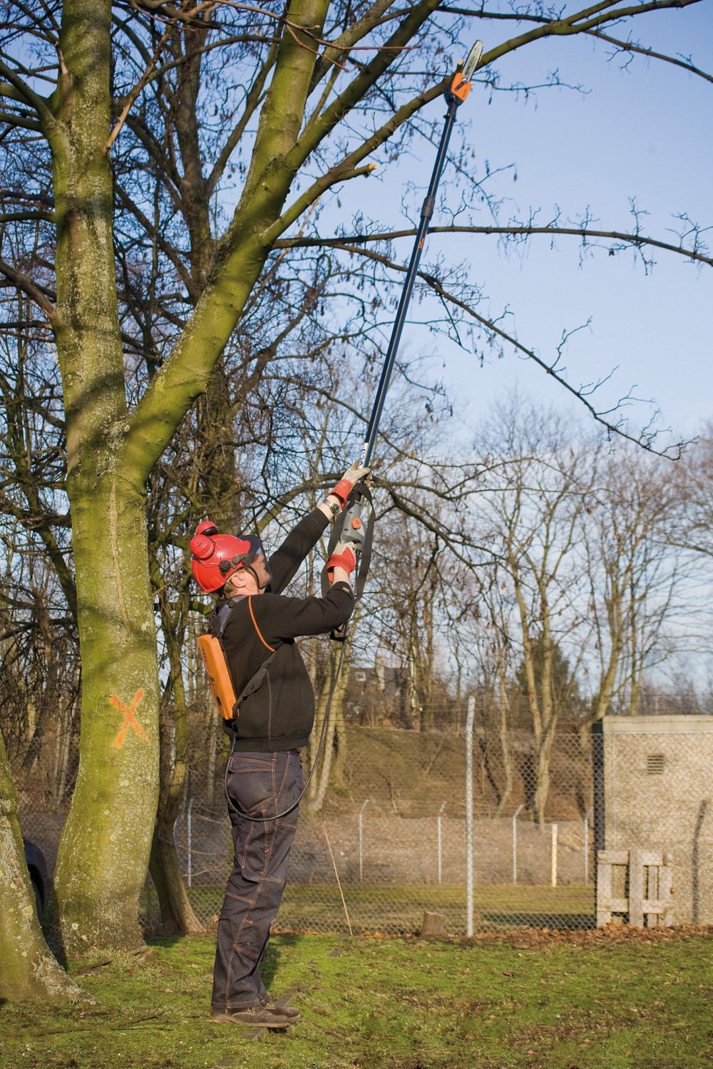 Astsägen Pellenc Hochentaster Selion T220-300 im Test, Bild 1