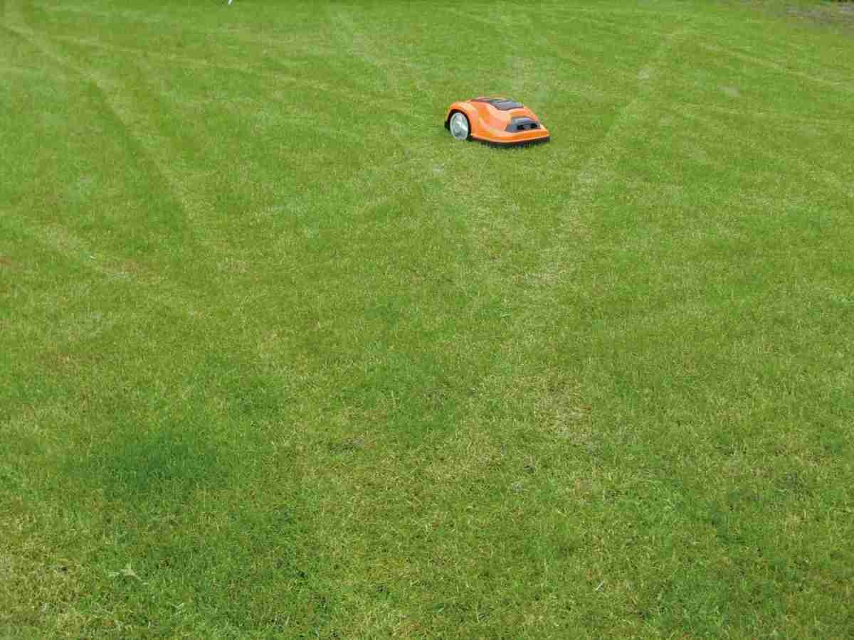 Mähautomat: Yardforce SA 900, Bild 7 Roboter-Rasenmäher Yardforce SA 900 im Test, Bild 7
