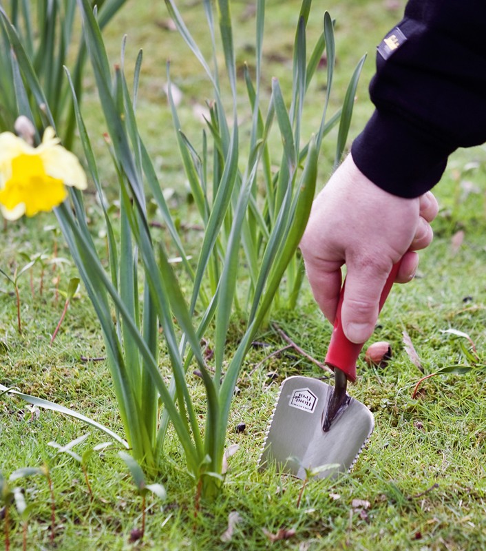 Sonstige Handwerkzeuge Schwan Wurzelsepp im Test, Bild 1