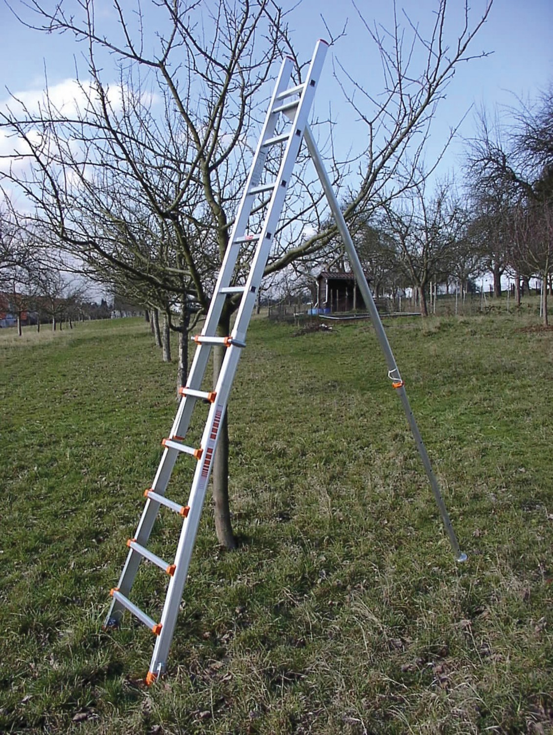 Leitern Siedra Obstbauleiter im Test, Bild 3