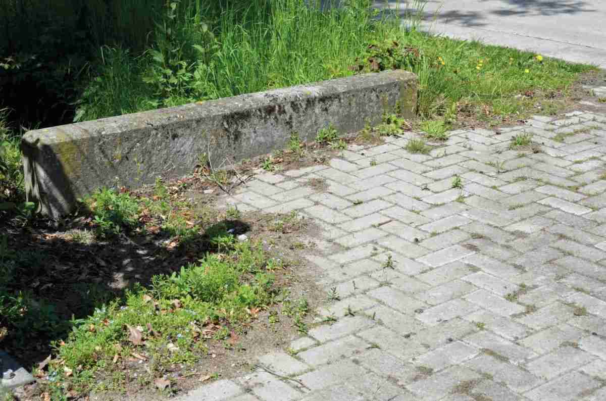 Heiß geduscht!: DiBO WeedKiller-E, Bild 4 Sonstige Gartengeräte DiBO WeedKiller-E im Test, Bild 4