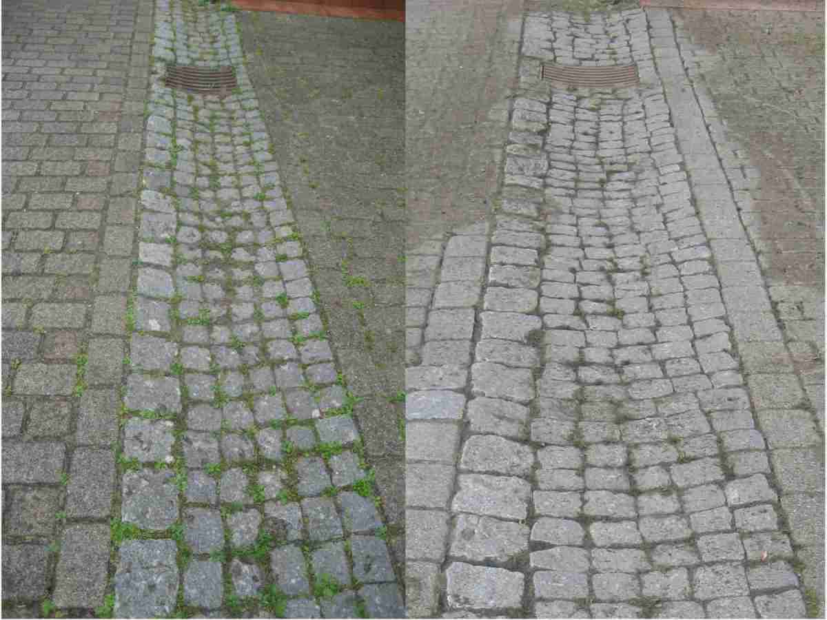 Schnell und schonend: Kwern Greenbuster Pro II, Bild 3 Sonstige Gartengeräte Kwern Greenbuster Pro II im Test, Bild 3
