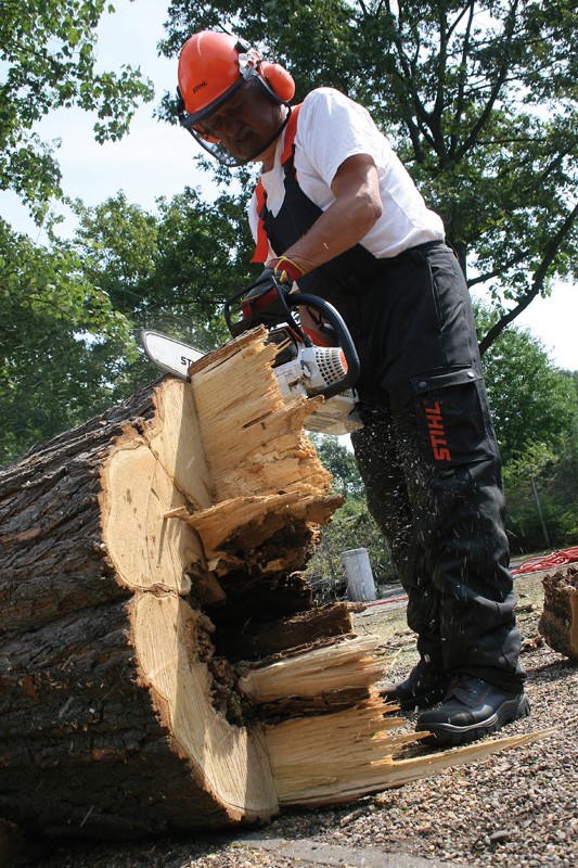 Kettensägen-Benzin Stihl MS 261 C im Test, Bild 1