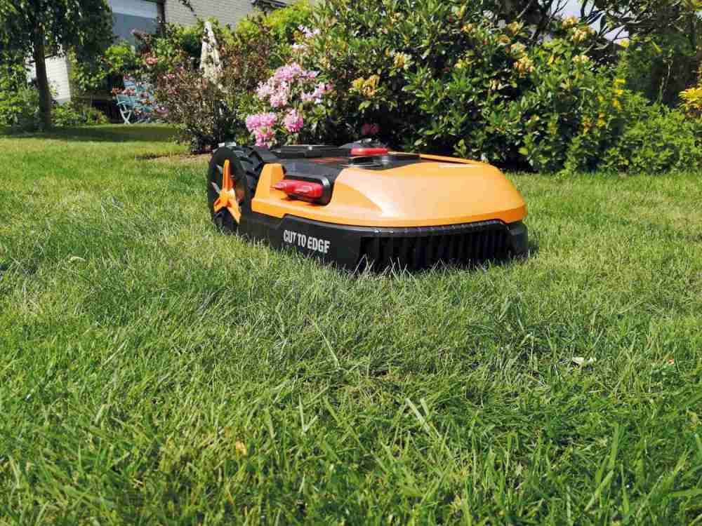 Test RoboterRasenmäher Worx Landroid ML1000 WR147E sehr gut