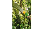 Grüntek<br>Japanische Feinsäge 300 mm Artnr.: 295501303
