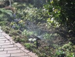 Sonstige Gartengeräte Regenmeister Gartenbewässerungssystem im Test, Bild 1