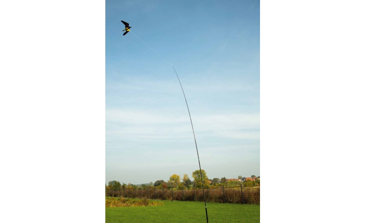 Tierabwehr Gardigo Vogel-Abwehr-Drachen im Test, Bild 1