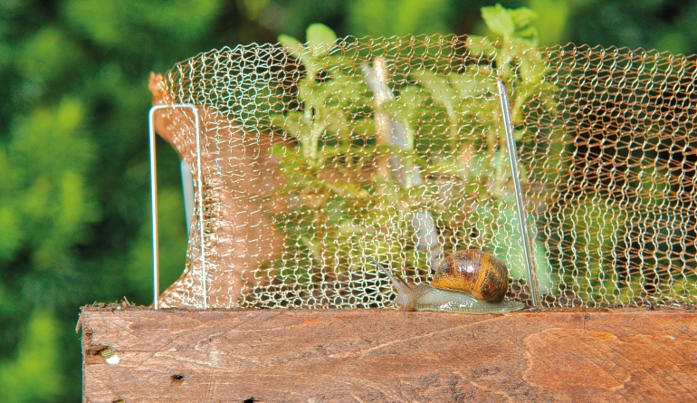 Tierabwehr Isotronic Kupfernetz zum Schutz vor Schnecken & M&auml;usen Art.-Nr. 81015 im Test, Bild 1