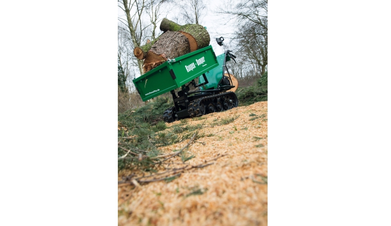 Sonstige Gartengeräte PowerPac Raupen-Dumper elektro RDE500 im Test, Bild 1