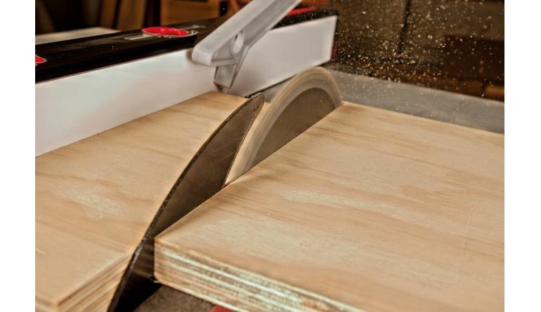 Tisch-Kreissägen Sawstop Tischkreissäge JSS-230B50EU im Test, Bild 1