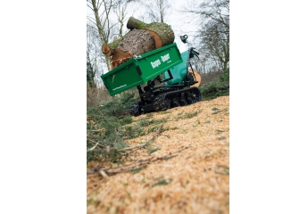 Einzeltest: PowerPac Raupen-Dumper elektro RDE500